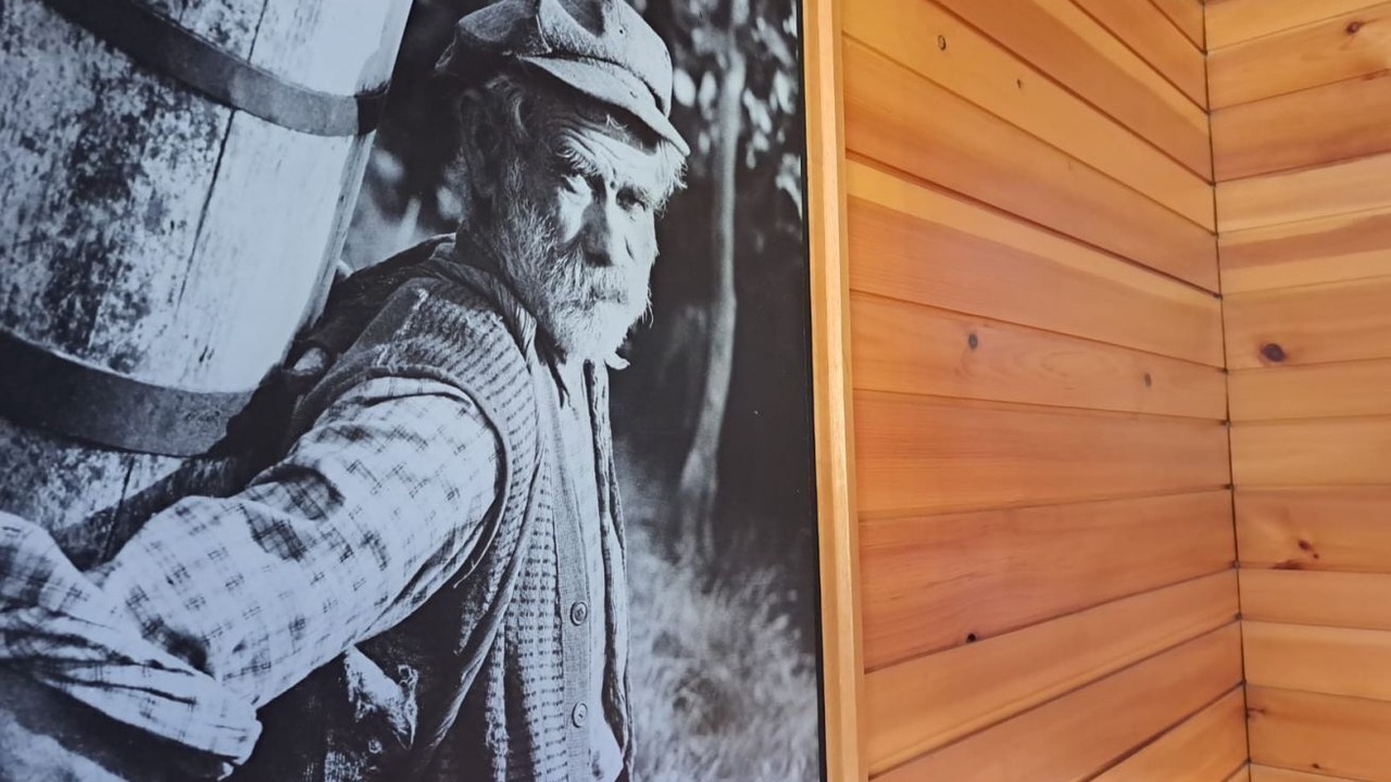 Photo of Others in Dalpe