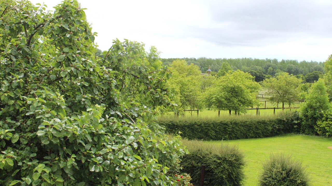 Photo of Outdoor in Basseneville