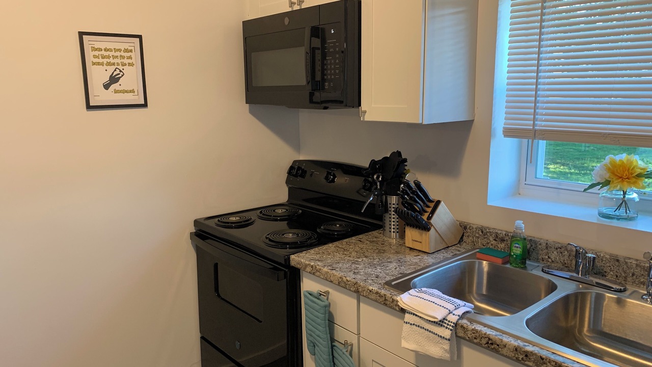 Photo of Kitchen in Petersburg