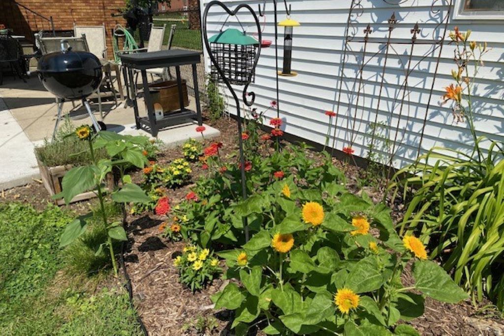 Photo of Outdoor in Beaverdale