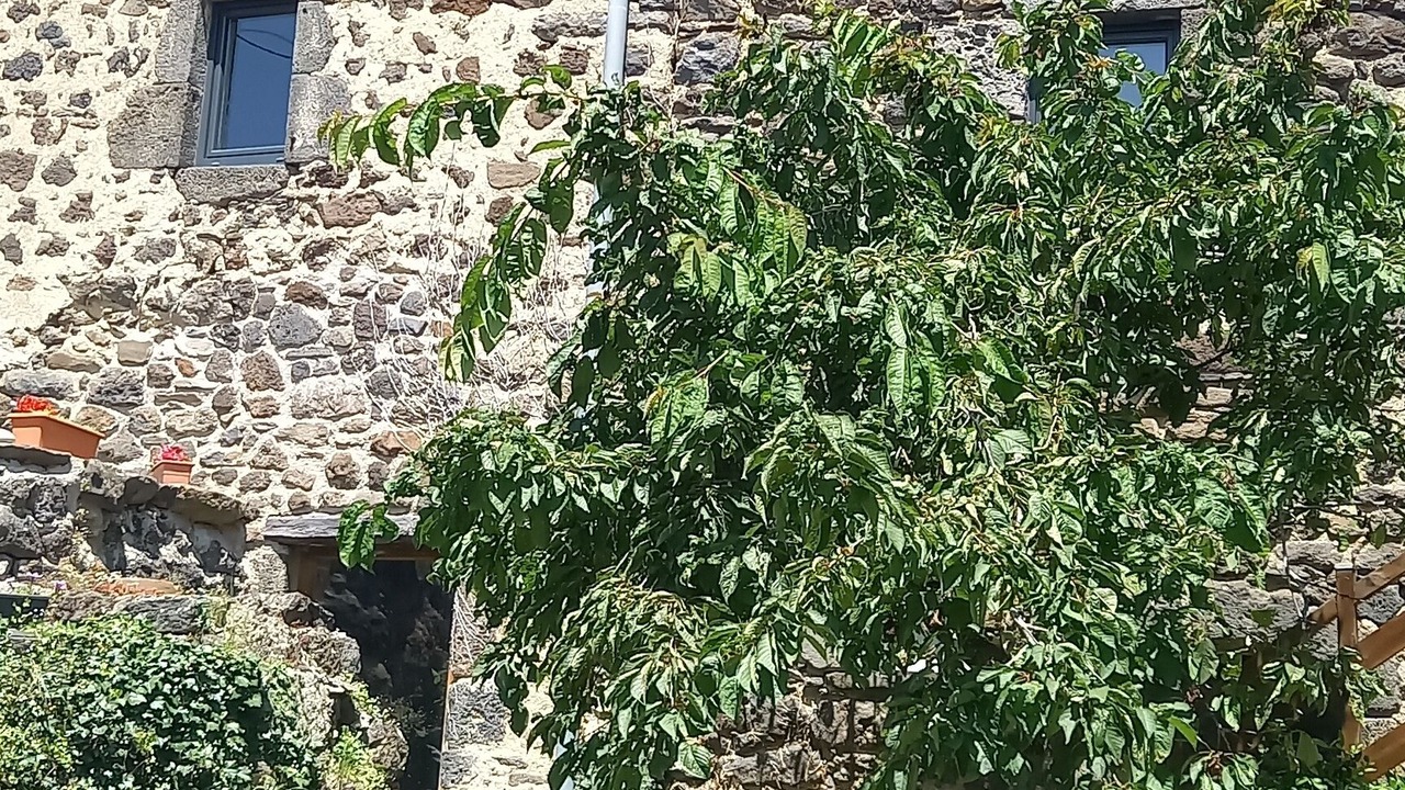 Photo of Outdoor in Boudes