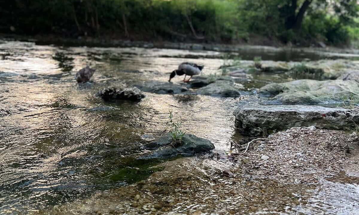 Photo of Others in Belton