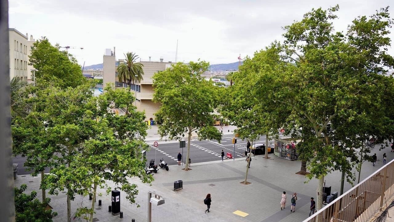 Photo of Outdoor in Barceloneta