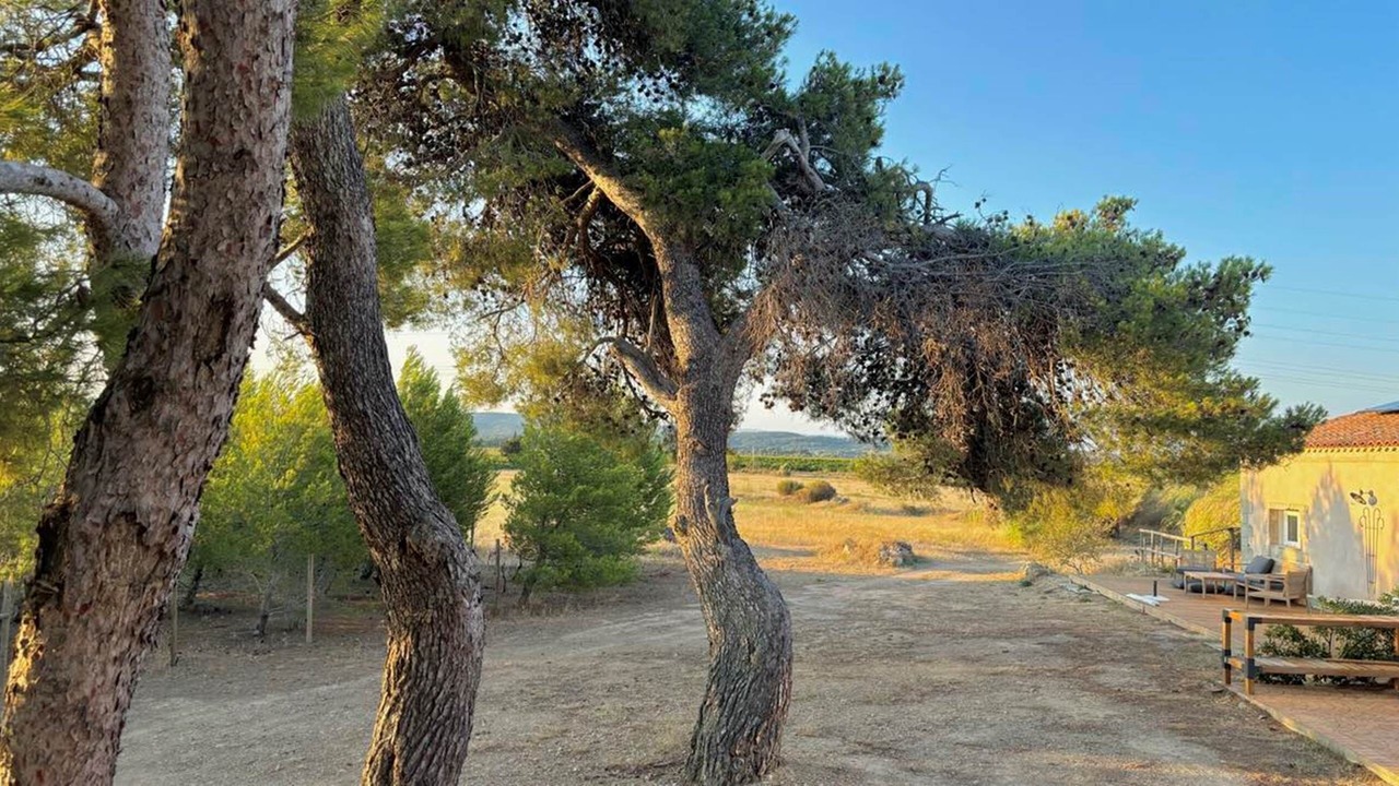 Photo of Others in Lezignan-Corbieres