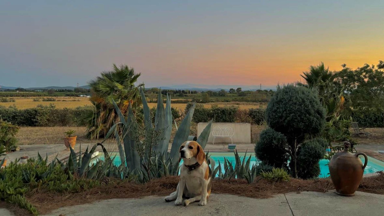 Photo of Others in Lezignan-Corbieres