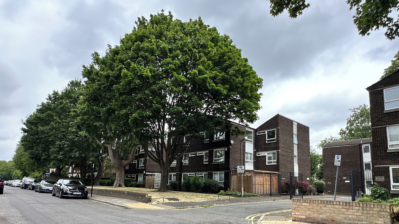 Photo of Others in Clapham