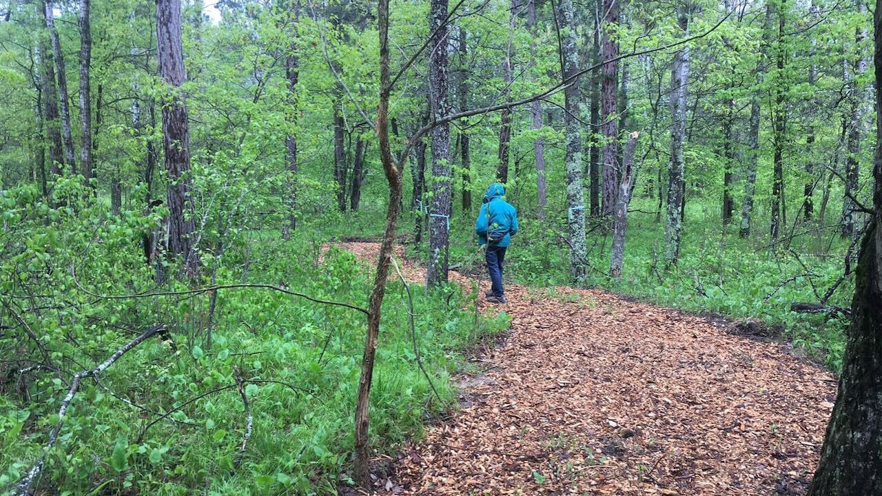 Photo of Others in Nisswa