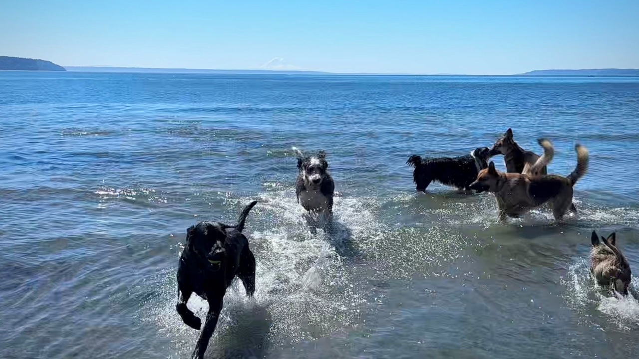 Photo of Others in Freeland