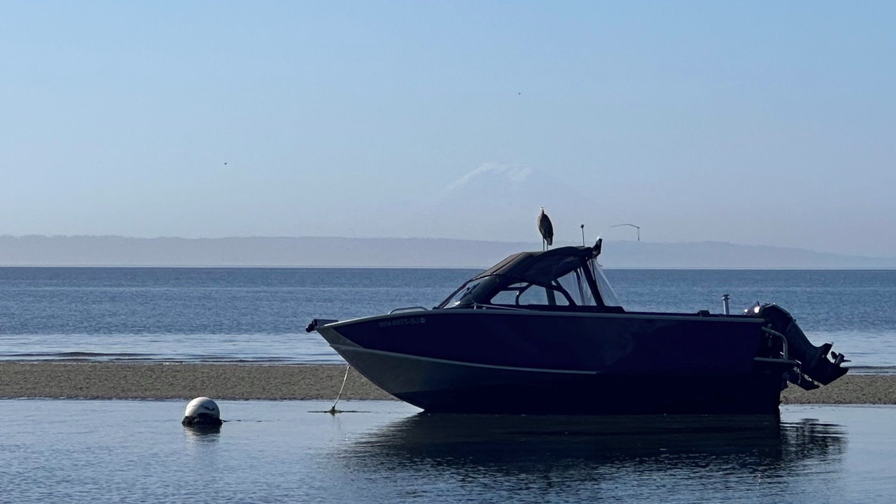 Photo of Others in Freeland