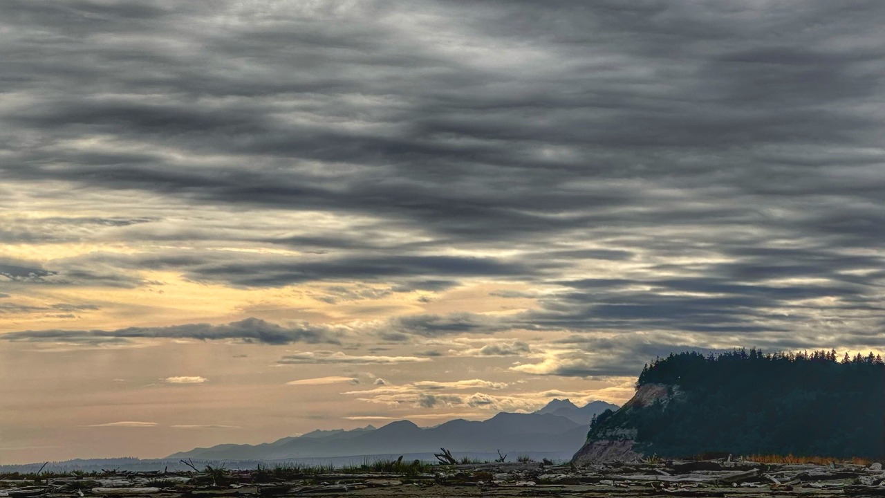 Photo of Others in Freeland