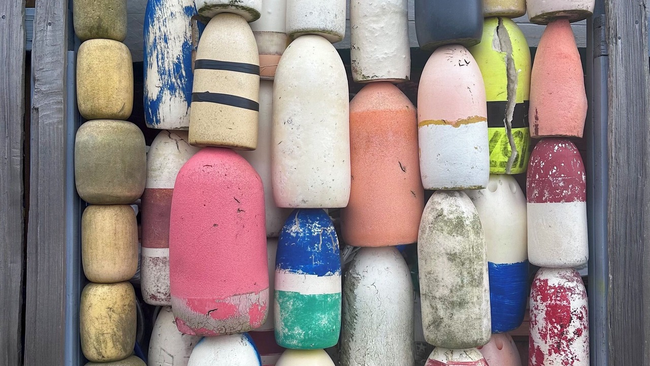 Photo of Others in Freeland