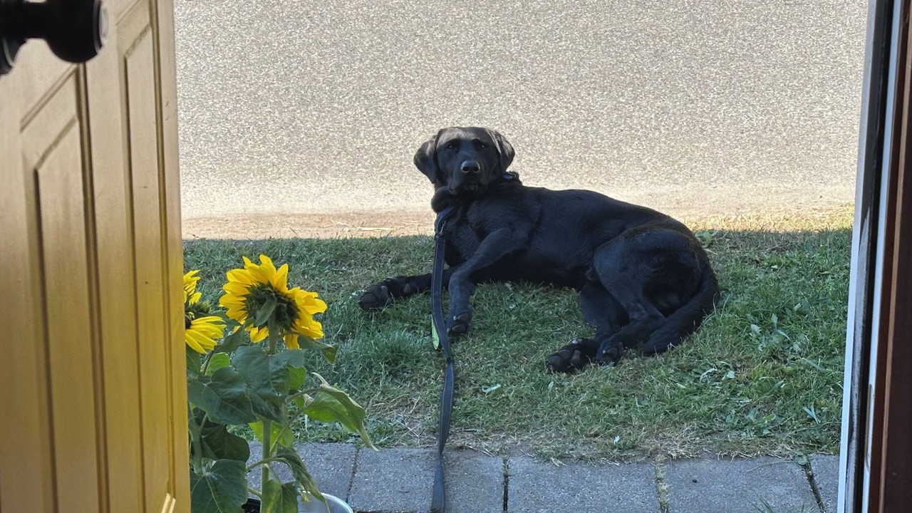 Photo of Others in Freeland