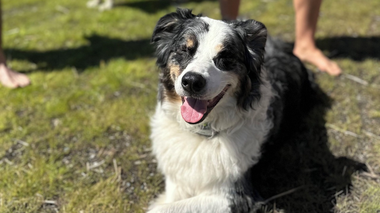 Photo of Others in Freeland