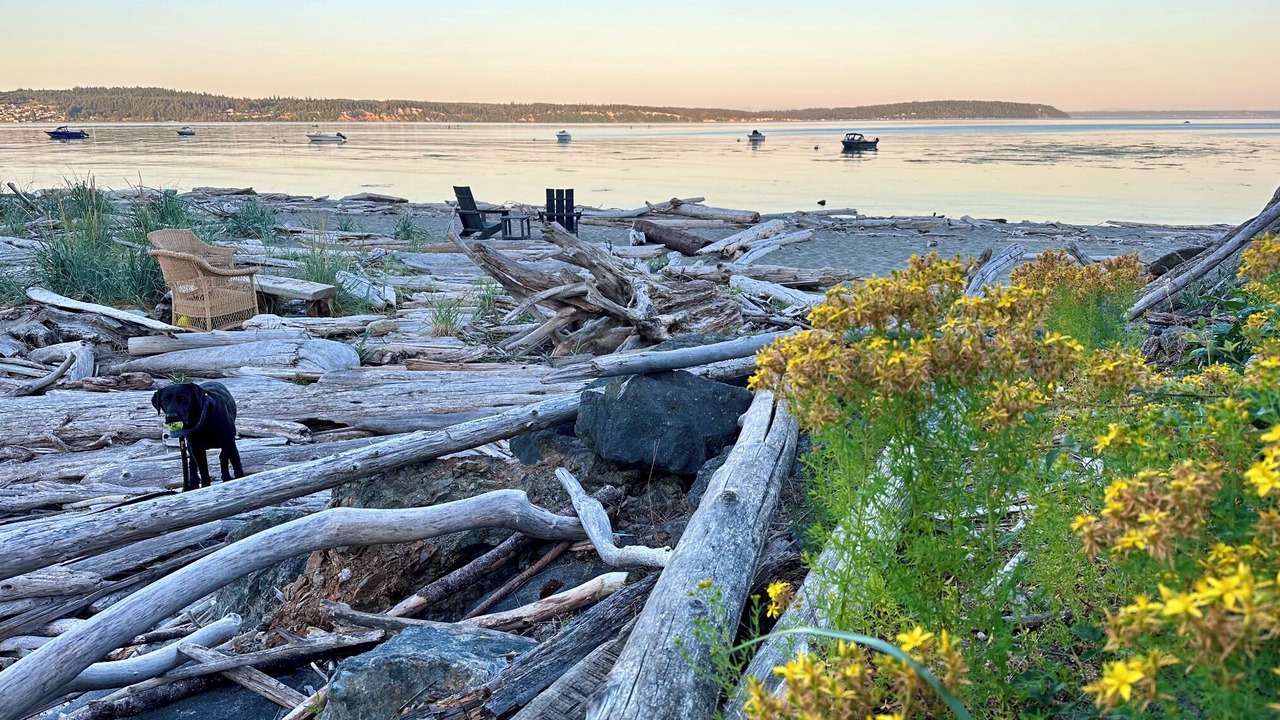 Photo of Others in Freeland