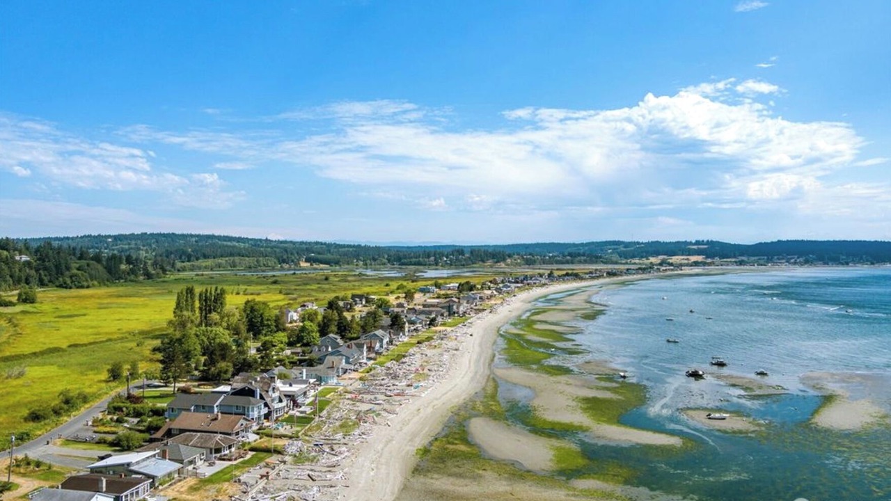 Photo of Others in Freeland