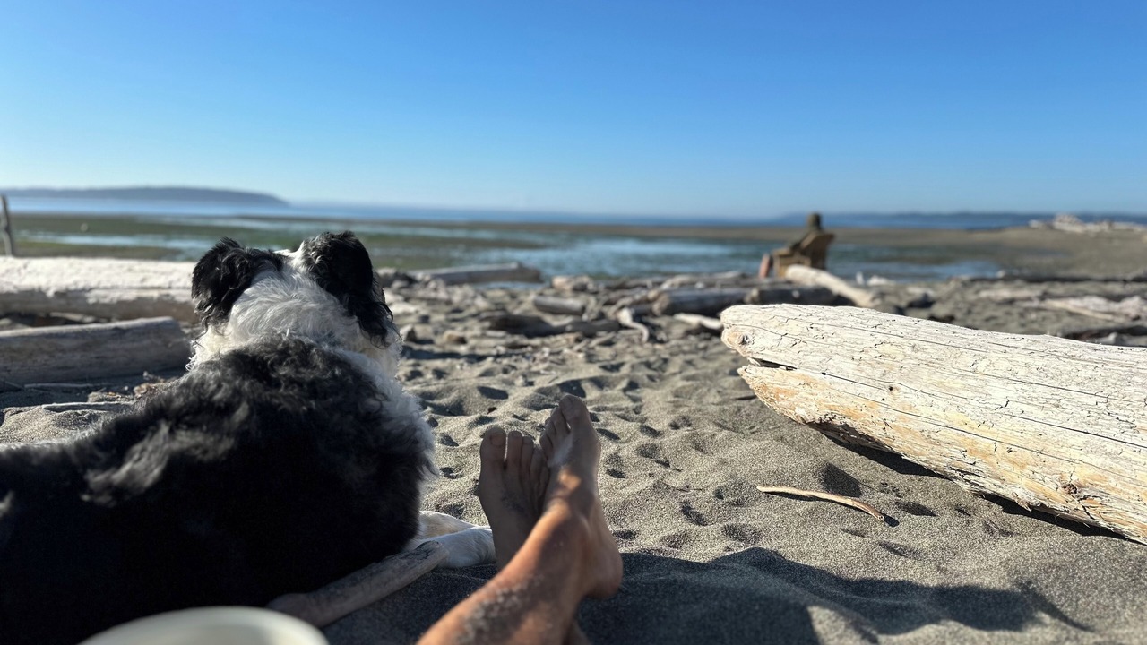 Photo of Others in Freeland