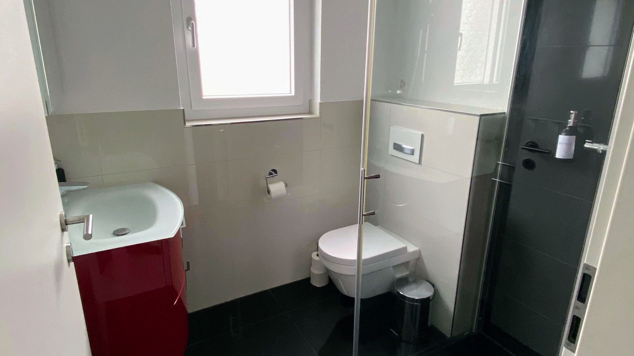 Photo of Bathroom in Dietikon District