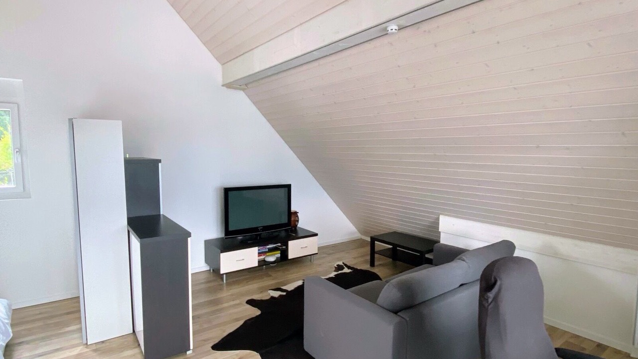Photo of Livingroom in Dietikon District