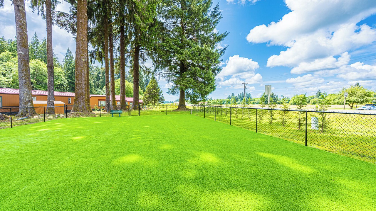 Photo of Outdoor in Forks