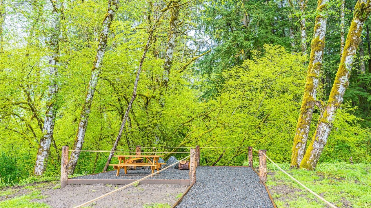 Photo of Outdoor in Forks