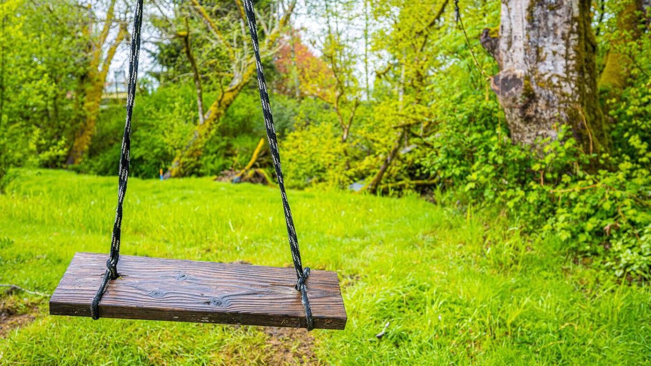 Photo of Others in Forks