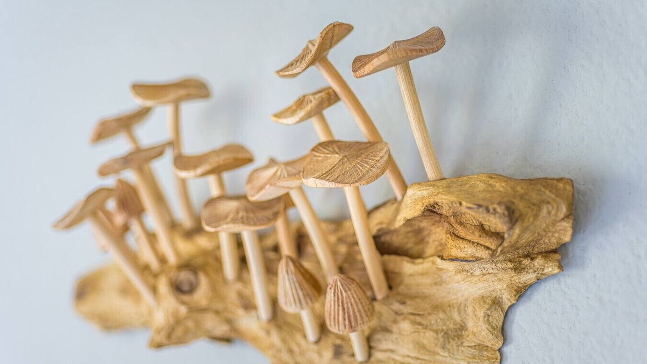 Photo of Others in Forks