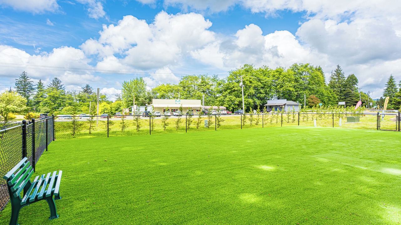 Photo of Outdoor in Forks