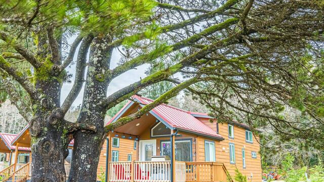 Photo of Outdoor in Forks