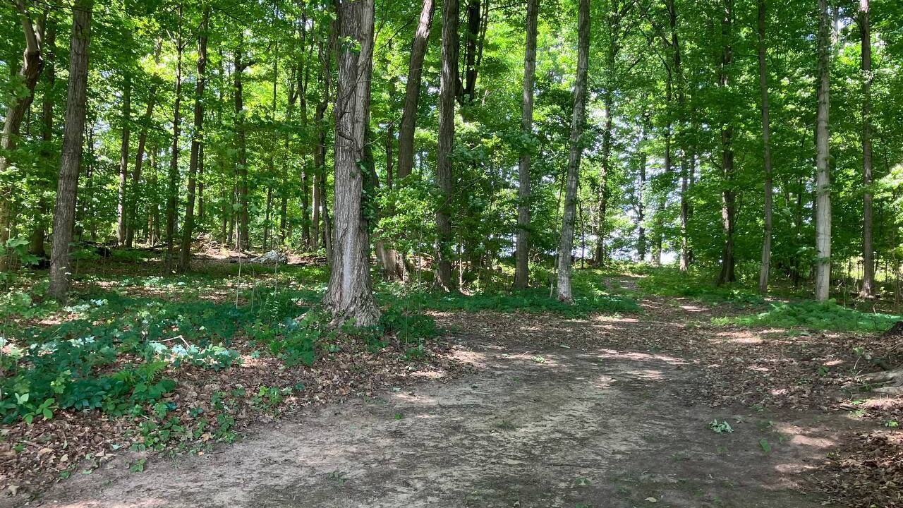 Photo of Outdoor in Oaks Corners