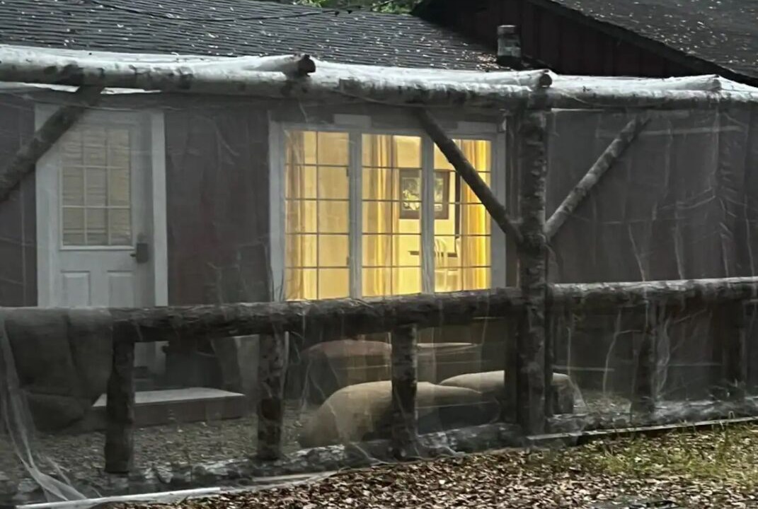 Photo of Outdoor in La Honda