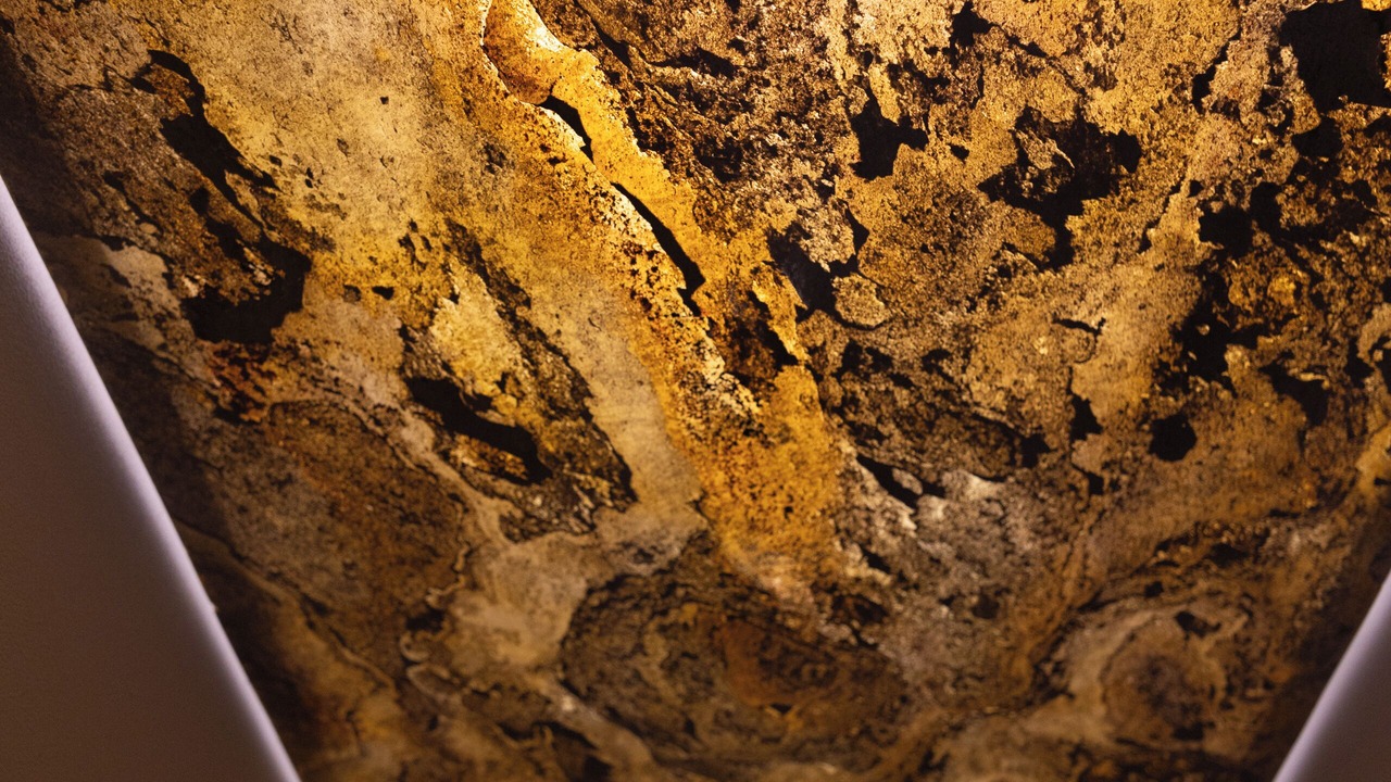 Photo of Others in Marcq-en-Baroeul