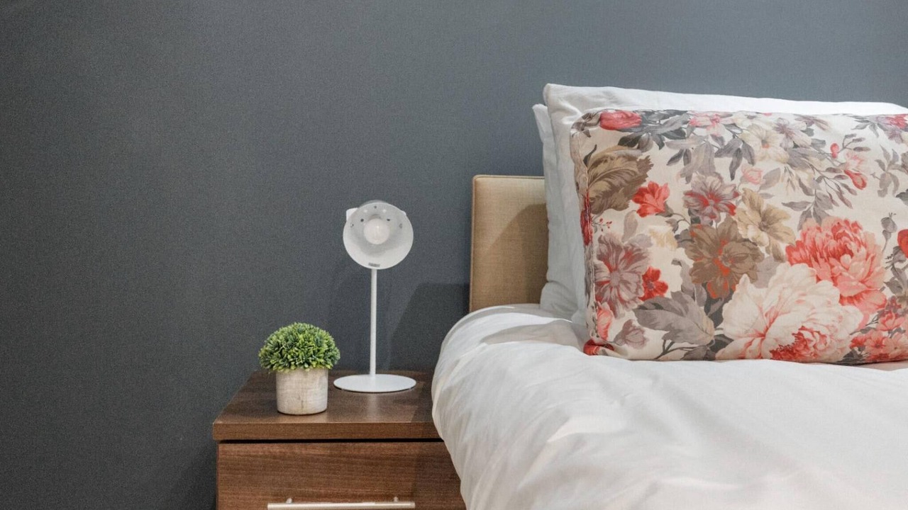 Photo of Others in Brentwood