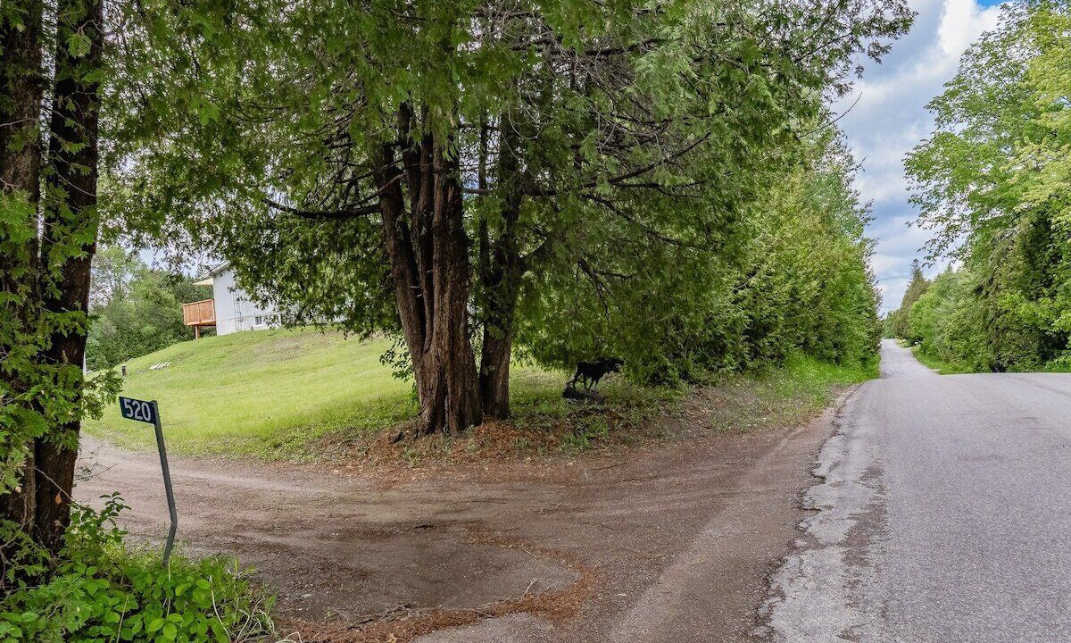 Photo of Others in Irondale