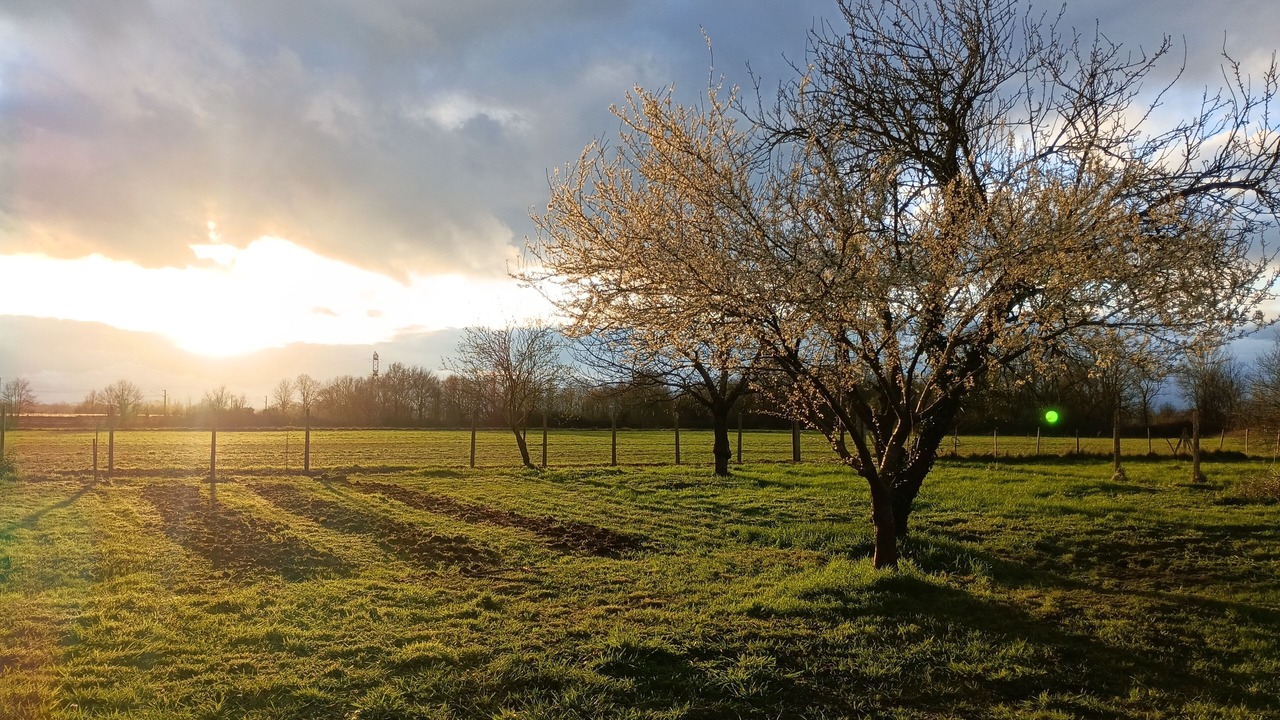 Photo of Others in La Chapelle-sur-Loire