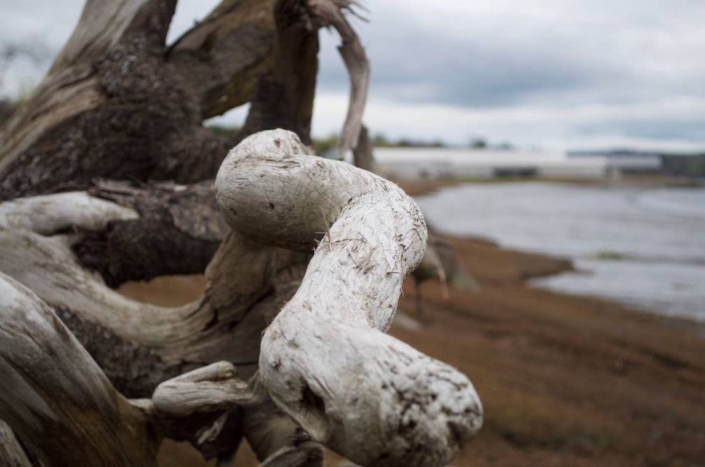 Photo of Others in Winterport