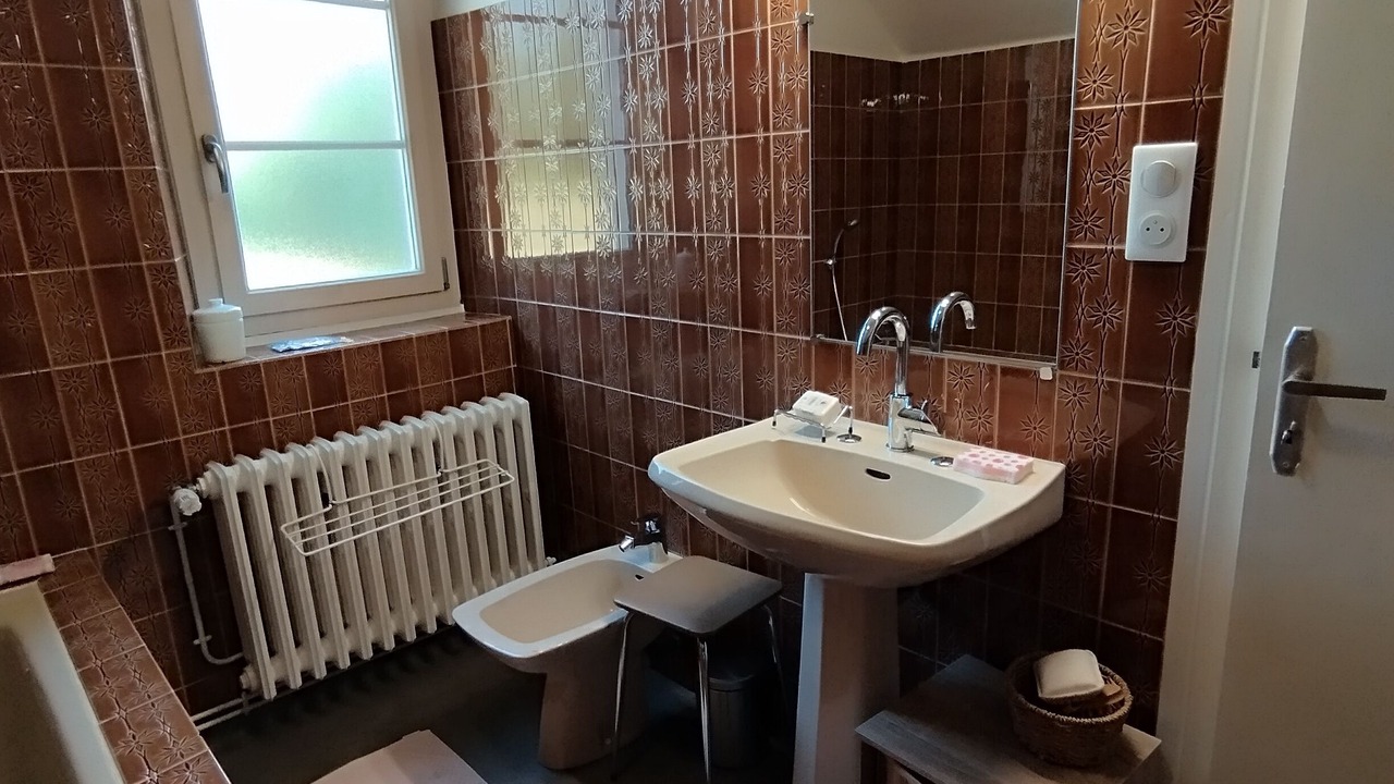Photo of Bathroom in Saint-Martial de Gimel