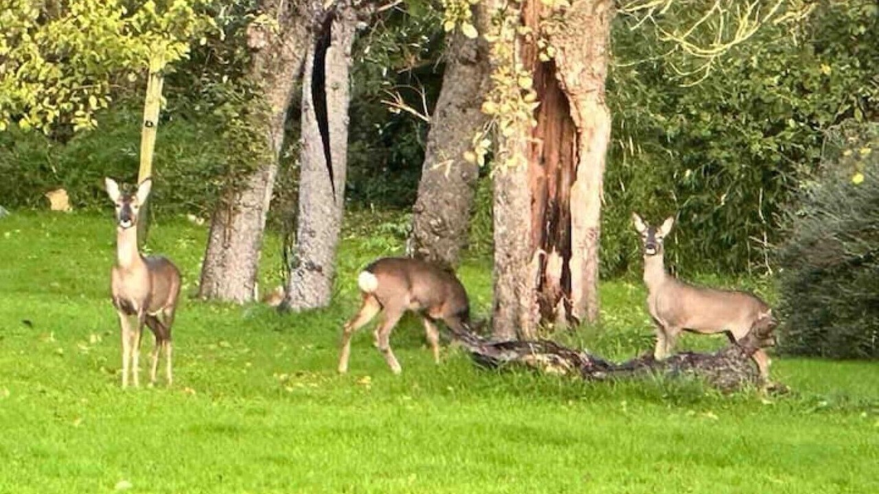 Photo of Bathroom in Wedmore