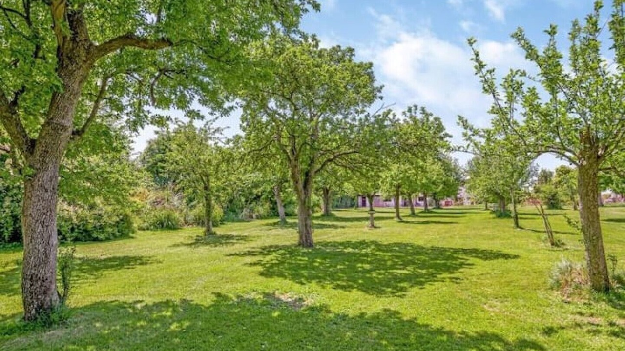 Photo of Outdoor in Wedmore