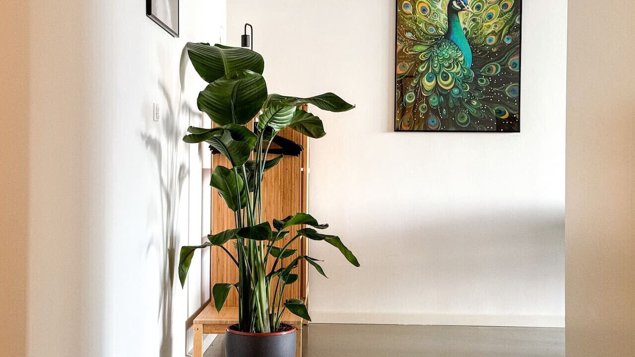 Photo of Others in Amager