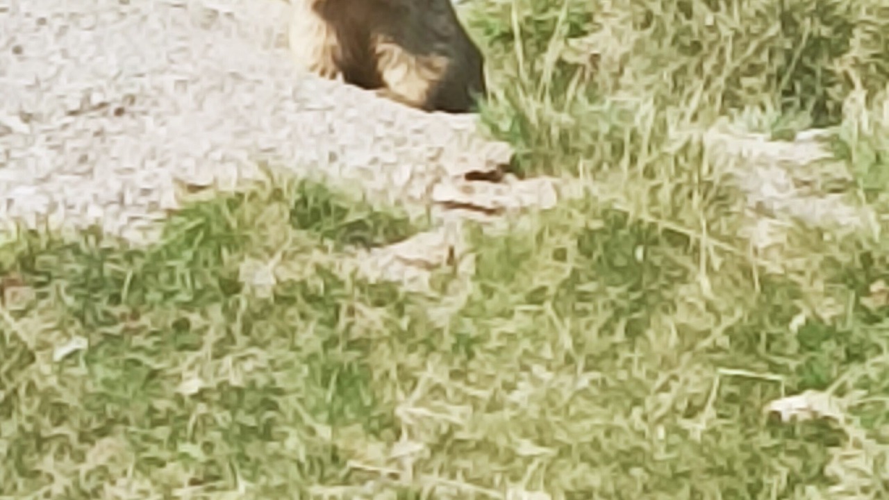 Photo of Others in Pla d'Adet