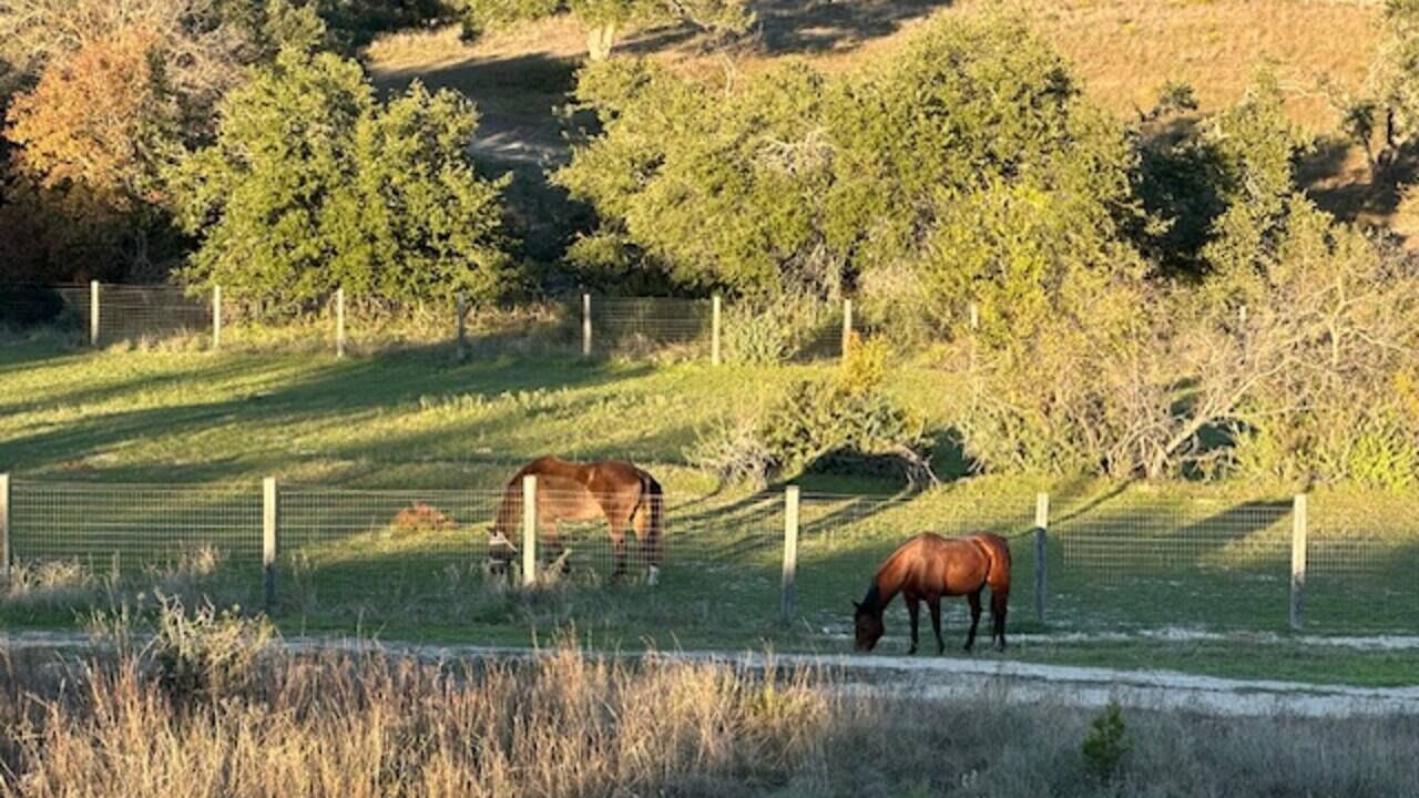 Photo of Others in Dripping Springs