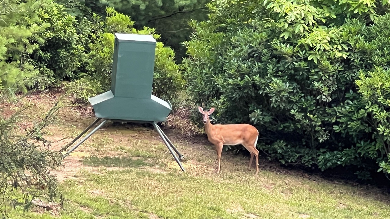 Photo of Outdoor in Franklin