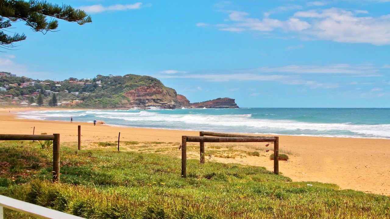 Photo of Others in Avoca Beach