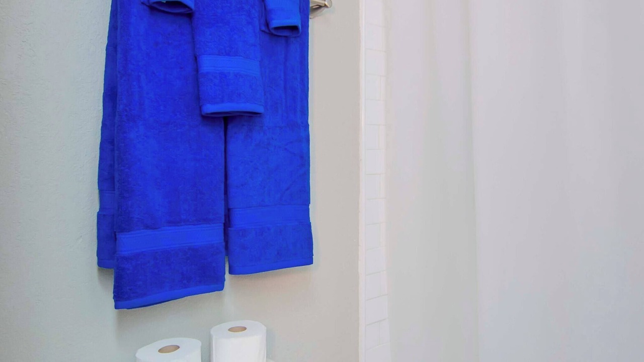 Photo of Bathroom in Tampa Heights