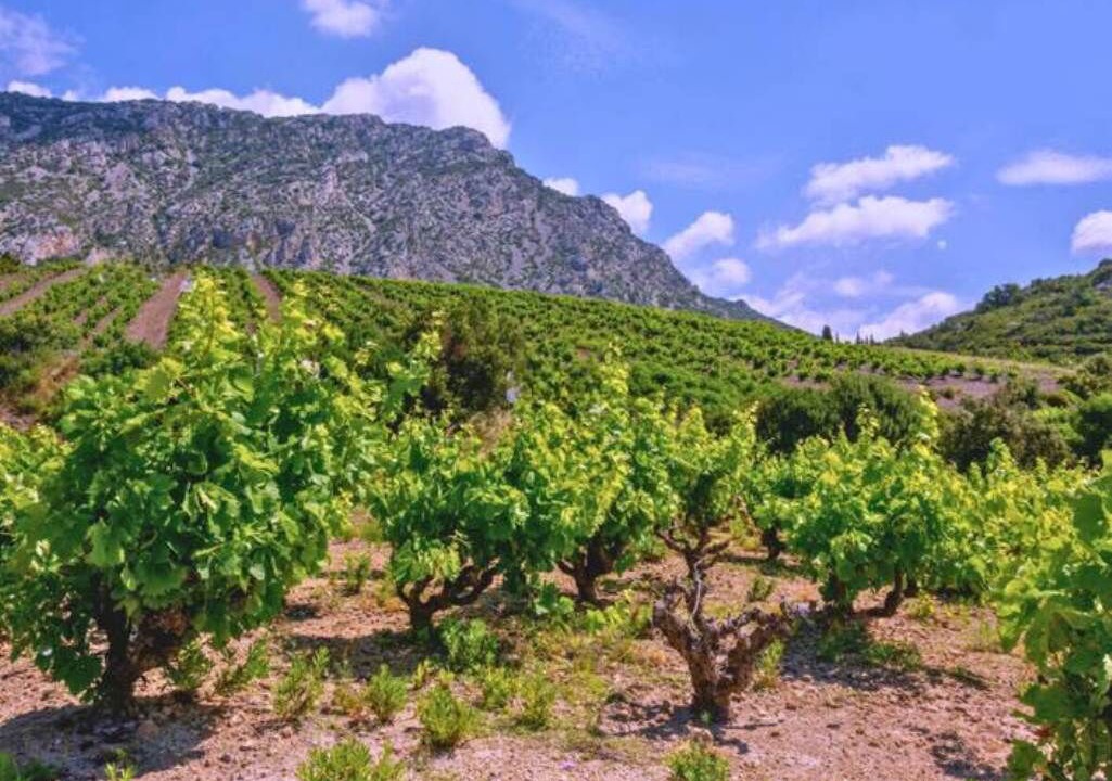 Photo of Others in Caramany