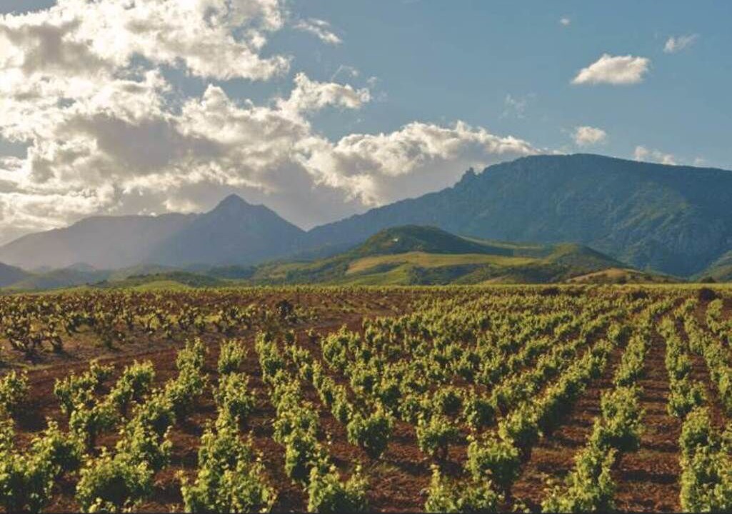 Photo of Others in Caramany