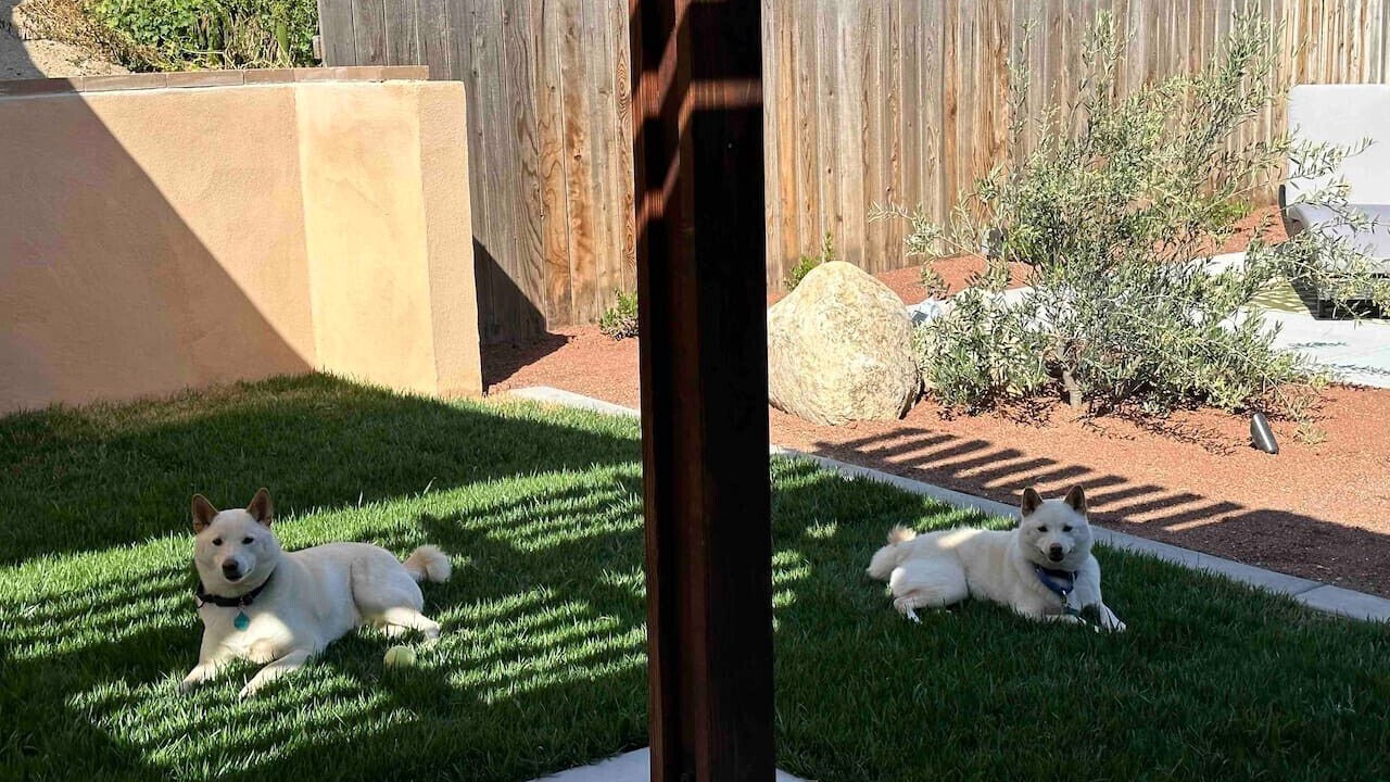 Photo of Outdoor in Hemet