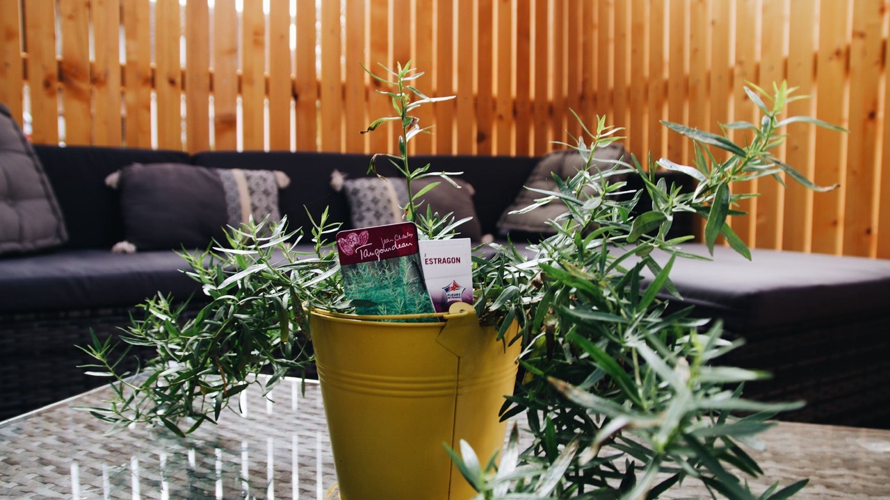 Photo of Others in Nemours