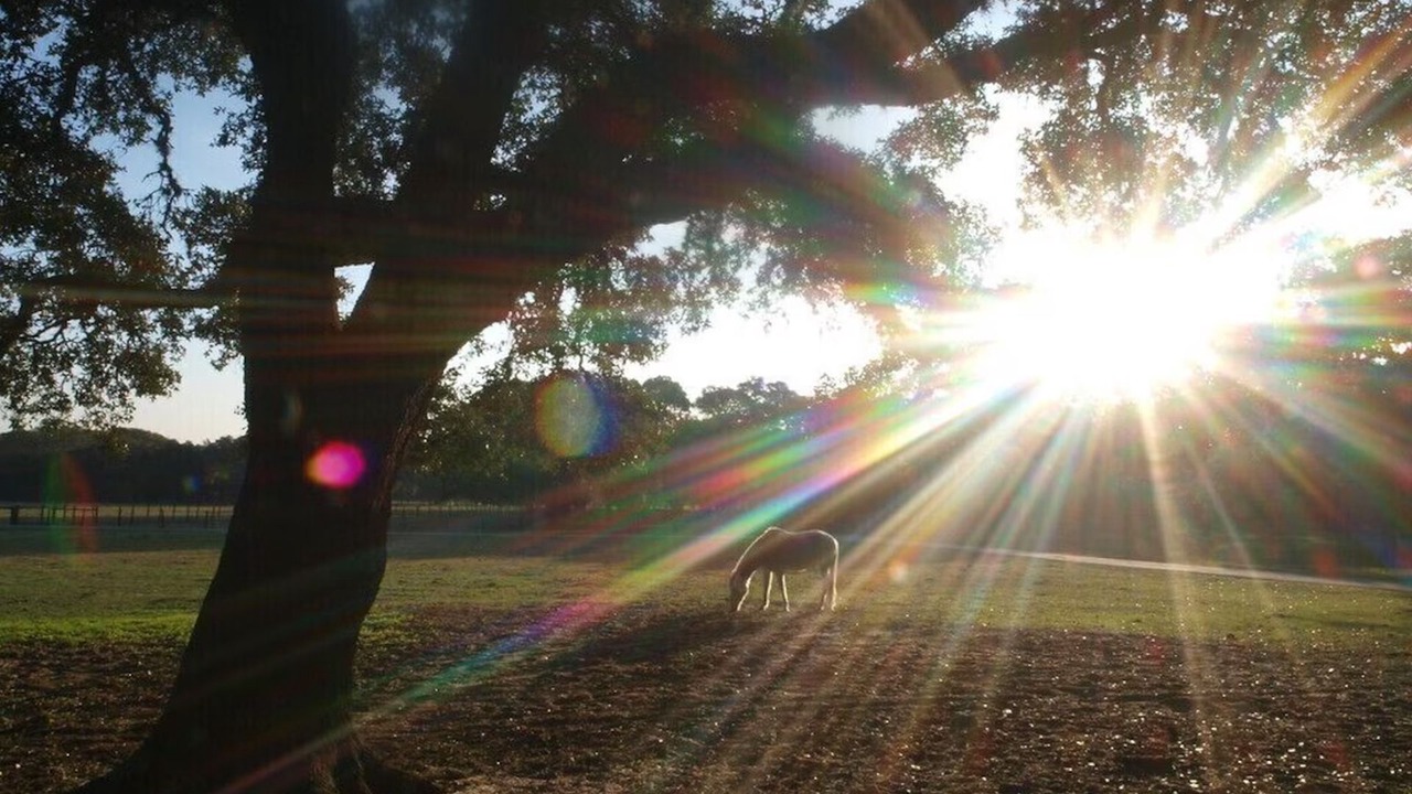 Photo of Others in Cat Spring