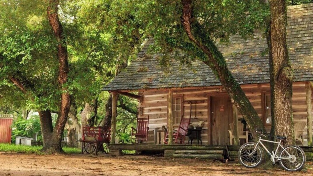 Photo of Outdoor in Cat Spring
